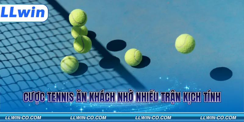 Cược Tennis ăn khách nhờ nhiều trận kịch tính