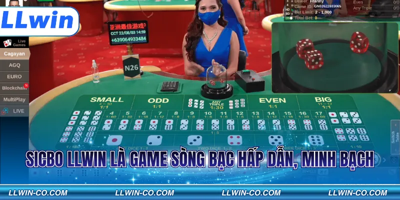 Sicbo LLWIN là game sòng bạc hấp dẫn, minh bạch